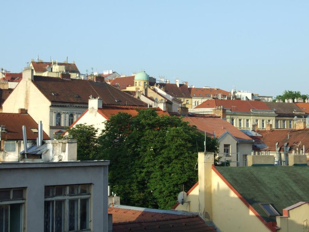 Visit In Apartmán